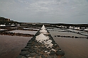 Kanary_2010 202